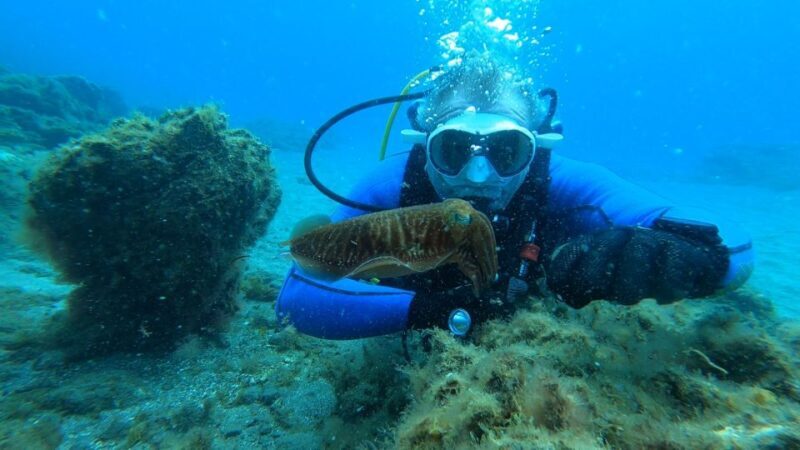 Tenerife: Scuba Diving Lesson and Abades Protected Area Dive - The Cost and Value of the Tour