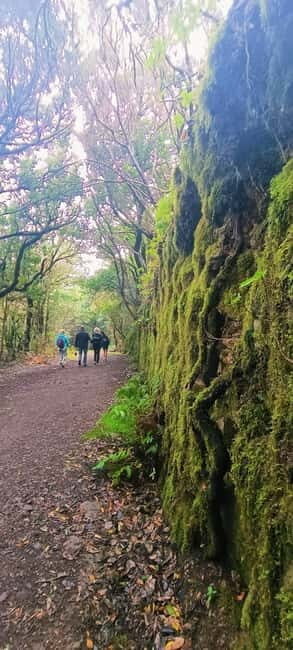Tenerife: Senderismo Anaga, Bosque Mágico, Reserva Biosfera - The Landscape and Why It’s Special