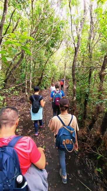 Tenerife: Senderismo Anaga, Bosque Mágico, Reserva Biosfera - Who Should Consider This Tour