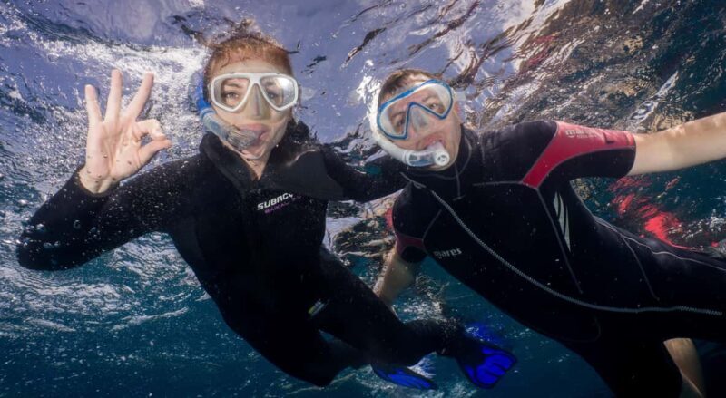 Tenerife: Snorkeling to look for Turtles and Rays - Points to consider