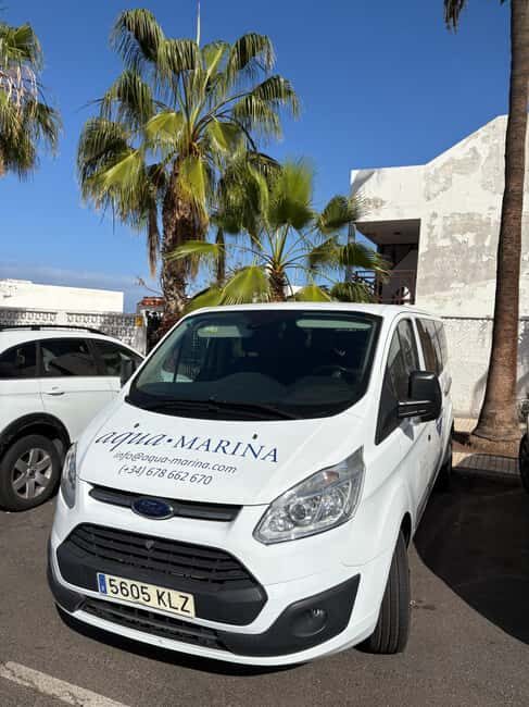 Tenerife: Snorkeling to look for Turtles and Rays - What travelers appreciate most