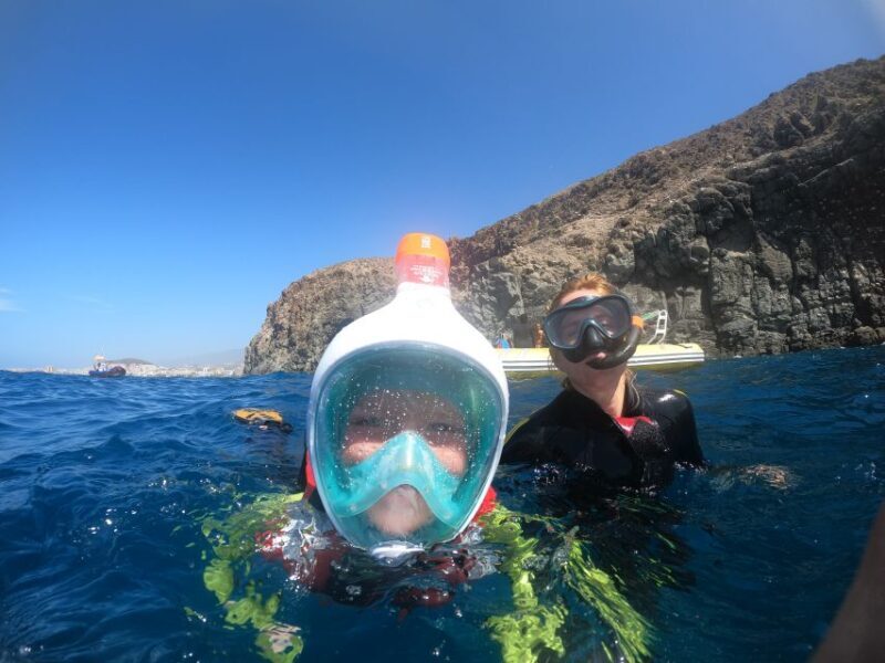 Tenerife: Snorkeling Trip in a Turtle Habitat - An Honest Look at the Snorkeling Safari