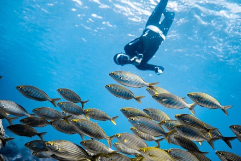 Tenerife : Snorkeling underwater with freediving Instructor - Equipment and Inclusions