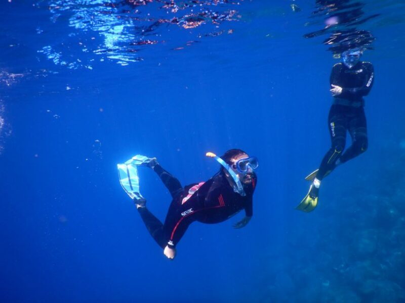 Tenerife : Snorkeling underwater with freediving Instructor - Final Thoughts