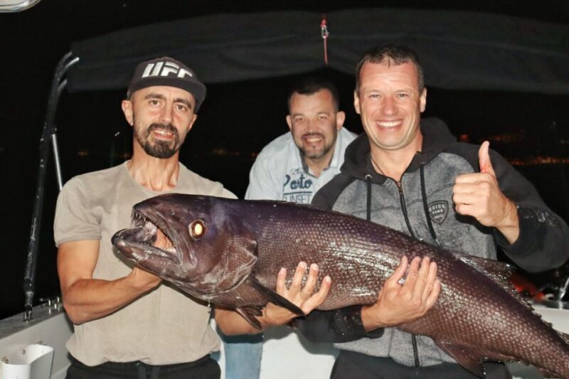 Tenerife: South Island Boat-Trip and Sea Excursion - The Experience: What You Can Expect on the Boat Trip