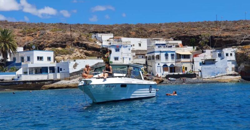 Tenerife: South Island Boat-Trip and Sea Excursion - Who Should Consider This Tour?