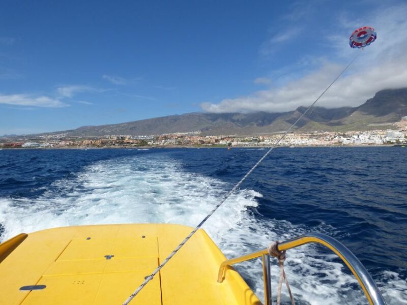 Tenerife South: Parascending Experience with Boat Ride - What to Expect from the Tenerife Parascending Tour