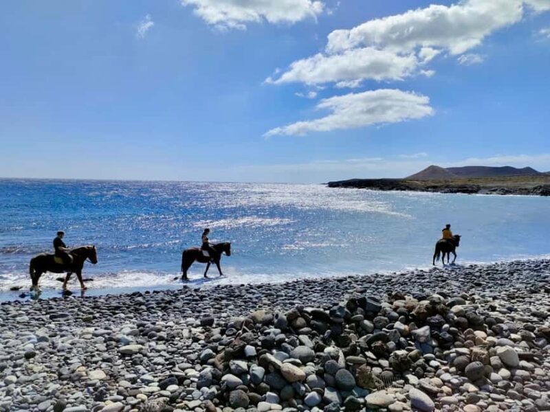 Tenerife South: Private Horseback Riding to the Coast - Key Points