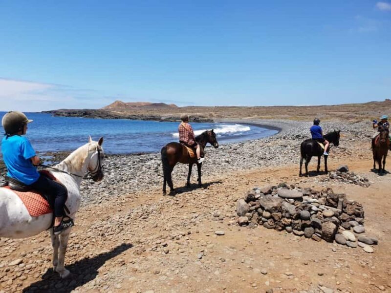 Tenerife South: Private Horseback Riding to the Coast - The Experience of Riding with a Private Instructor