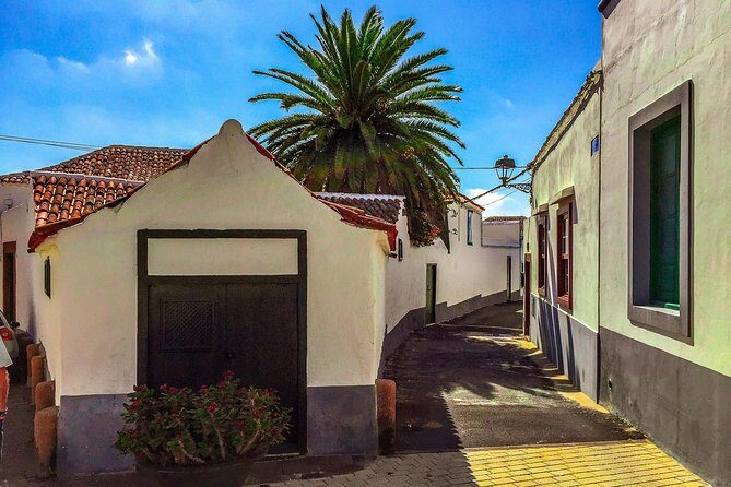 Tenerife South Private Tour: Secrets of the Volcanoes - Discovering Tenerife’s Volcanic South: What to Expect