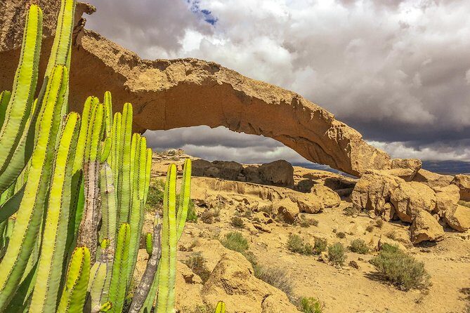 Tenerife South Private Tour: Secrets of the Volcanoes - Who This Tour Is Best For