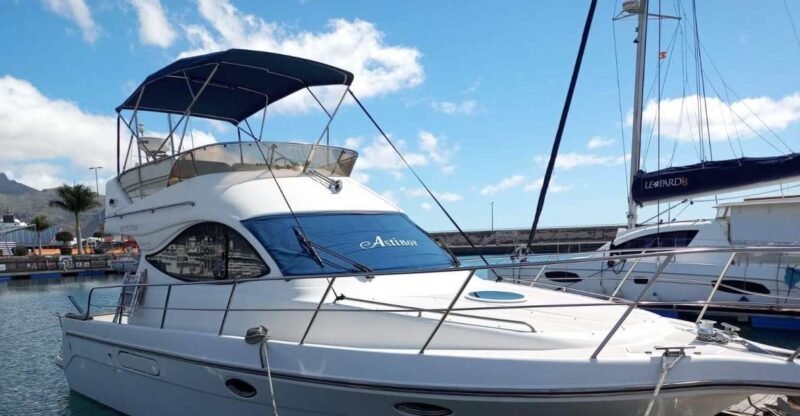 Tenerife south: safari with luxury boat , animals encounters - What to Expect from the Tenerife South Safari