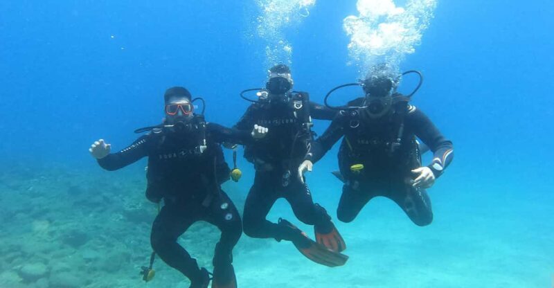 Tenerife south: Scuba Dive for beginners in Adeje - The Location and Marine Environment