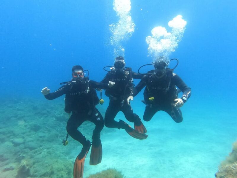 Tenerife south: Scuba Dive for beginners in Adeje - The Reviews Paint a Clear Picture