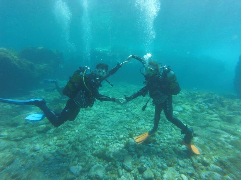 Tenerife south: Scuba Dive for beginners in Adeje - Who Should Consider This Tour?