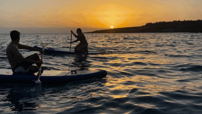 Tenerife: Sunset Stand-Up Paddleboarding Tour - A detailed look at the Tenerife Sunset Paddleboarding Tour