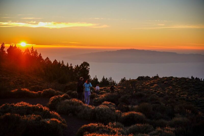 Tenerife: Sunset Volcano Teide Buggy Tour - A Deep Dive Into the Tenerife Buggy Adventure