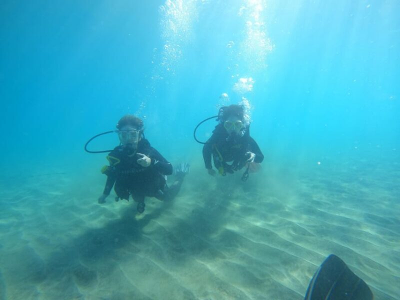 Tenerife sur: Buceo para principiantes en Adeje - FAQ