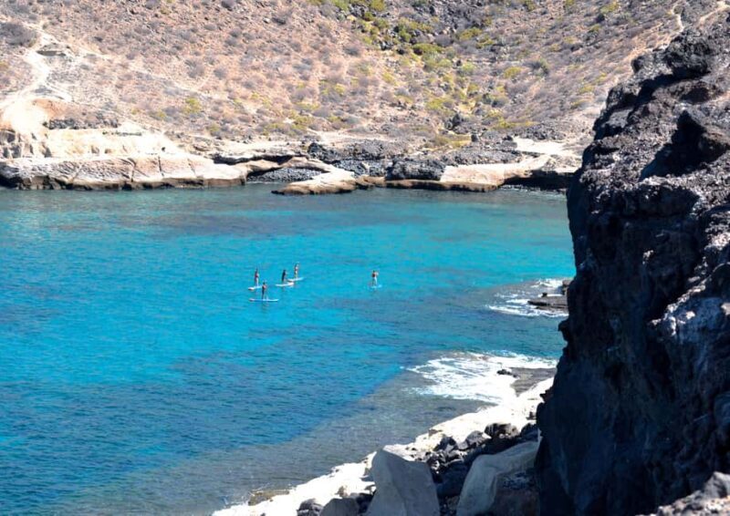 TENERIFE SUR | unforgettable SUP - SNORKELING EXPERIENCE - What to Expect from the Tenerife SUP & Snorkeling Tour