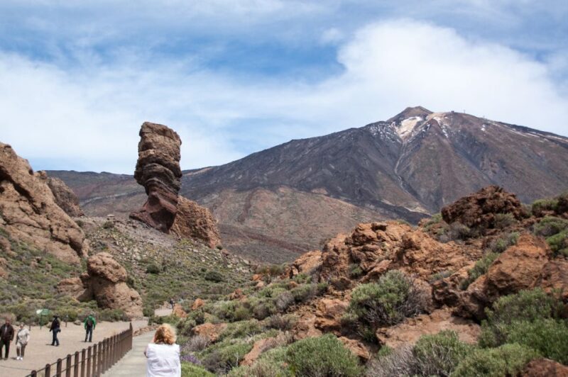 Tenerife: Teide and Las Cañadas Half-Day Tour - Who Is This Tour Best For?