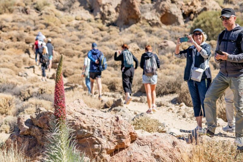 Tenerife : Teide Hiking - The Downsides to Consider