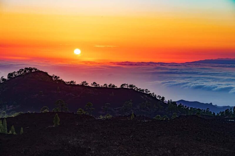 Tenerife: Teide Mountain Buggy On-Road GuidedTour with drink - Key Points