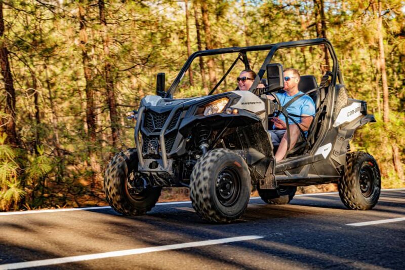 Tenerife: Teide Mountain Buggy On-Road GuidedTour with drink - What Travelers Are Loving (and Less Loving)