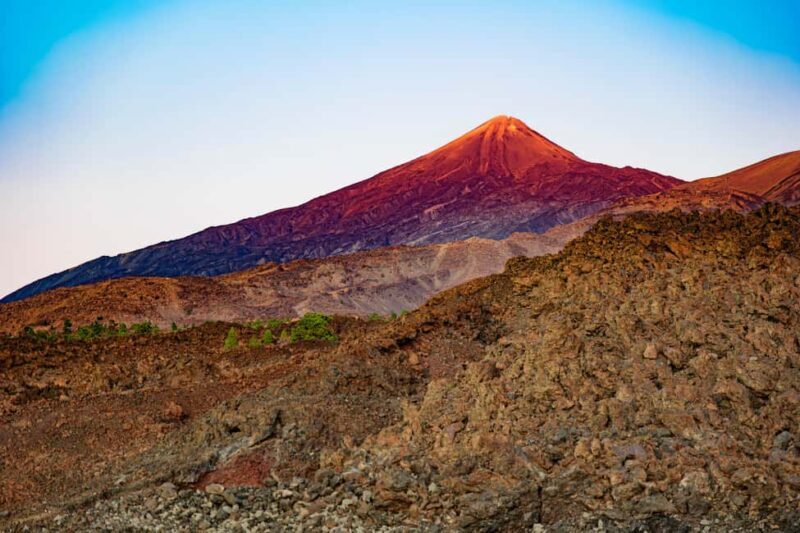 Tenerife: Teide Mountain Buggy On-Road GuidedTour with drink - Who Is This Tour Best Suited For?