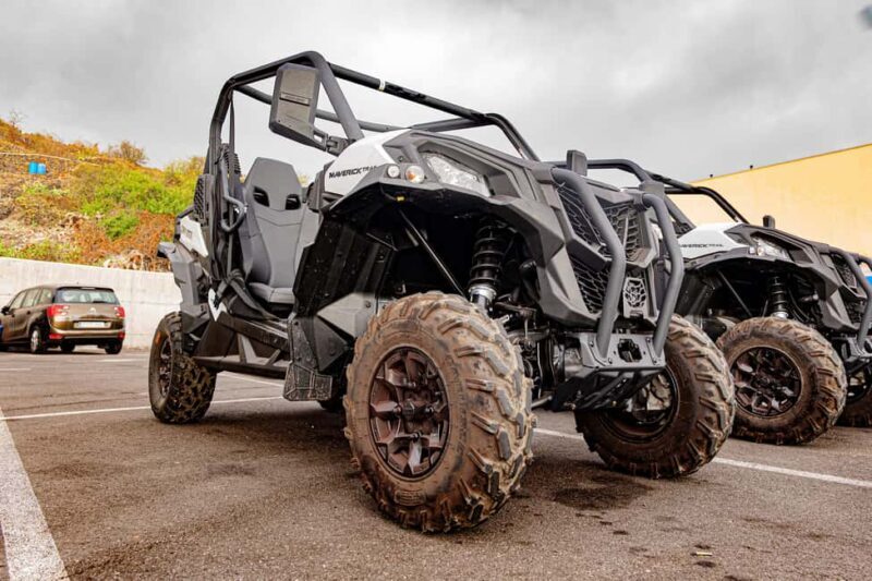 Tenerife: Teide Mountain Buggy On-Road GuidedTour with drink - FAQ