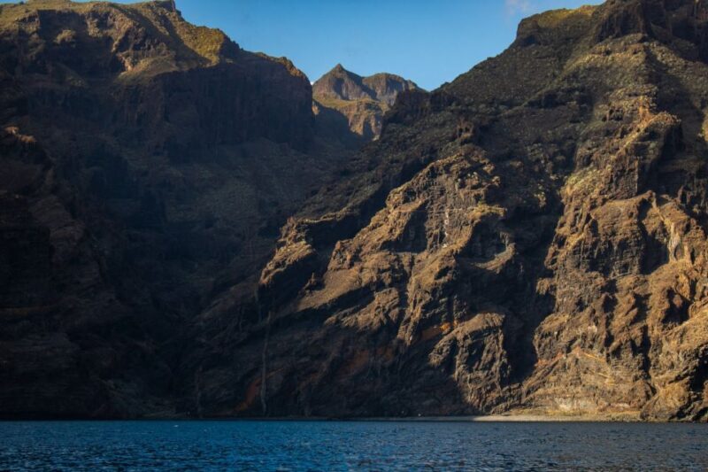 Tenerife: Teide National Park and Dolphins Sailboat Tour - What to Expect from the Tour