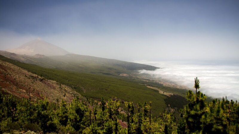 Tenerife: Teide National Park and Dolphins Sailboat Tour - Who Is This Tour Best For?