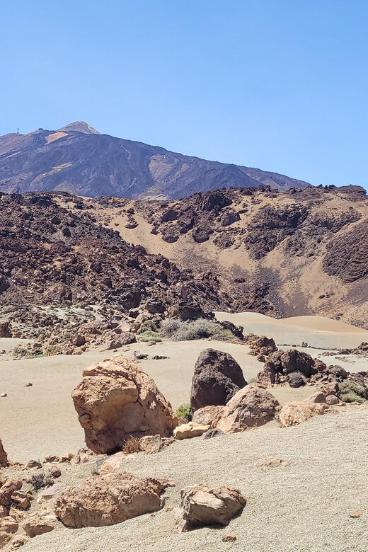 Tenerife: Teide National Park Buggy Tour with Hotel Transfer - Who Would Enjoy This?