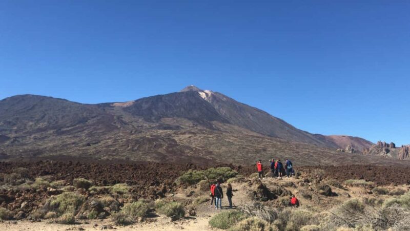 Tenerife: Teide National Park Buggy Tour with Hotel Transfer - FAQ