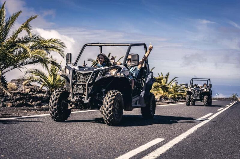 Tenerife: Teide National Park Buggy Tour with Hotel Transfer - Final Thoughts