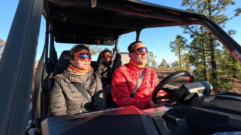 Tenerife: Teide National Park Guided Buggy Tour - The Sum Up