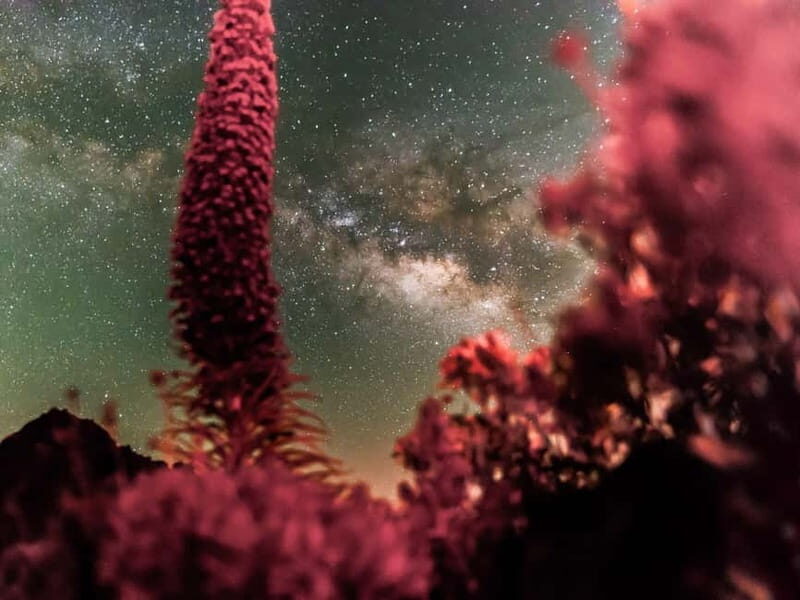 Tenerife: Teide Stargazing with an Astrophysicist - Final Thoughts