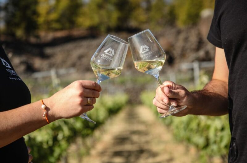 Tenerife: Tour of an Organic Vineyard with Tasting & Snacks - The Practical Side