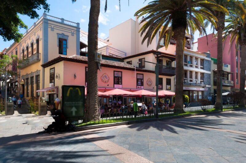 Tenerife: Trip to Puerto de la Cruz - Who Should Consider This Tour?
