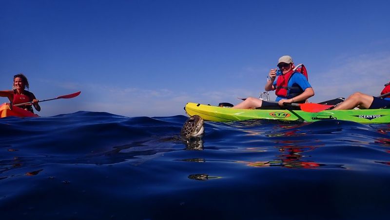 Tenerife: Kayak and Snorkel Tour with Wildlife Encounters - Cueva de los Enamorados stop: short hop, strong scenery