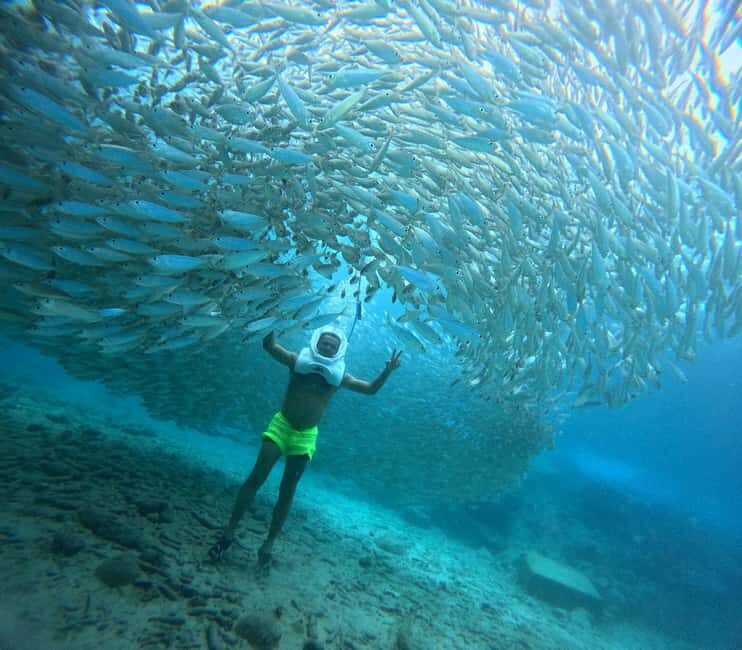 Tenerife: Underwater Walk - Sea Trek Experience - What is the Sea Trek Experience in Tenerife?