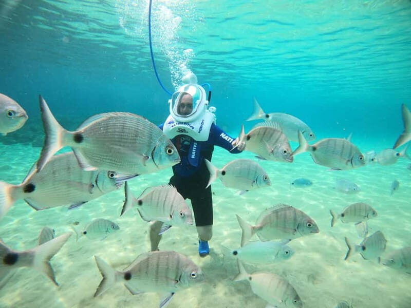 Tenerife: Underwater Walk - Sea Trek Experience - Final Thoughts