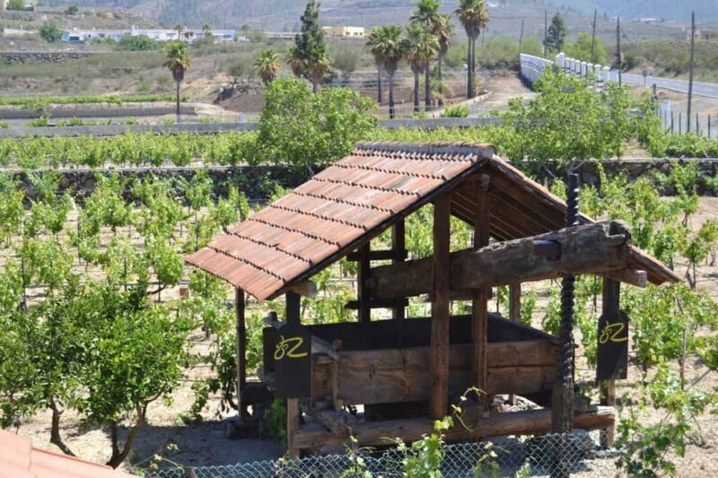 Tenerife: Vilaflor, Winery, and Aloe Vera Plantation Tour - FAQ