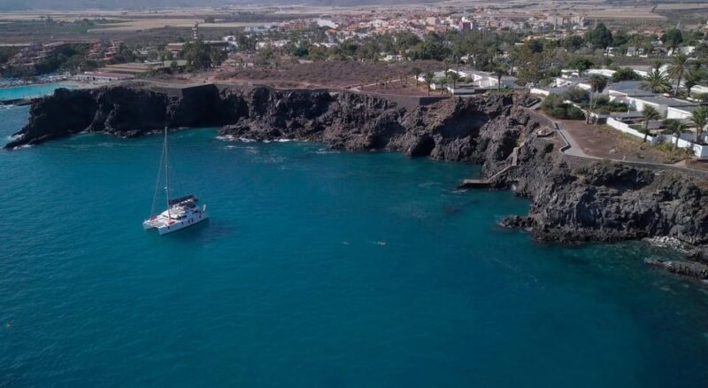 Tenerife: Whale and Dolphin Watching Boat Tour - FAQs about the Tenerife Whale and Dolphin Watching Boat Tour