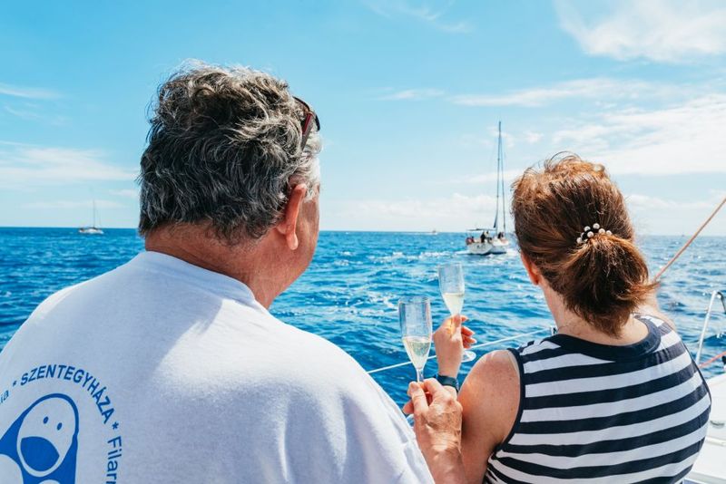 Tenerife: Whale & Dolphin Watching with Drinks and Snacks - The Secluded Bay Swim and Turtle Snorkeling Stop