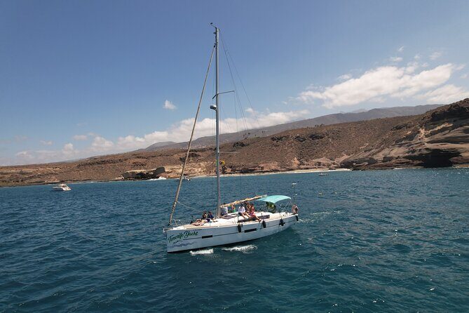 Tenerife Whale Watching and Snorkeling Yacht Trip - Practical Tips for Your Trip