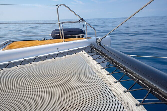 Tenerife Whales and Dolphins Watching Experience in Catamaran - Final Thoughts