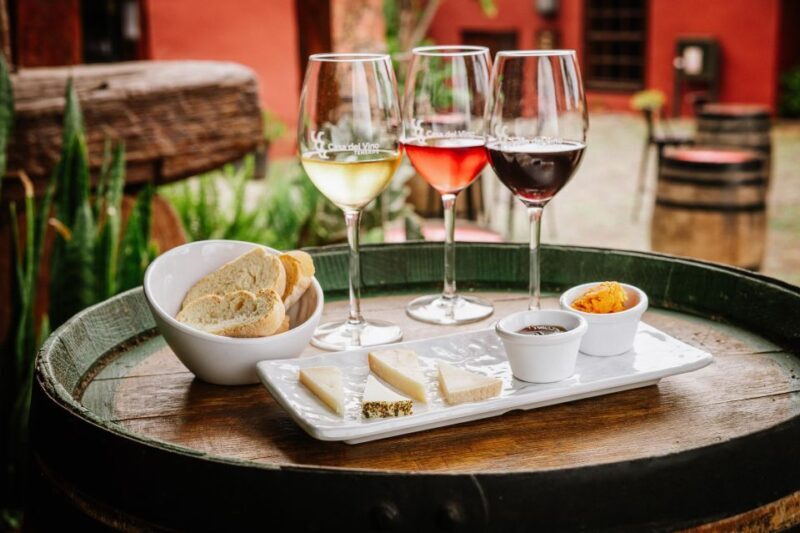 Tenerife: Wine Museum Ticket with Local Wines & Food Tasting - Key Points
