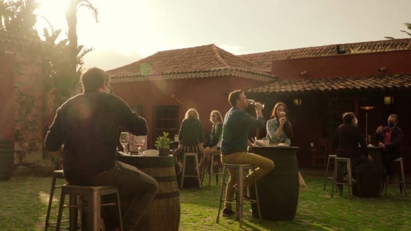 Tenerife: Wine Museum Ticket with Local Wines & Food Tasting - Who Is This Tour Best For?