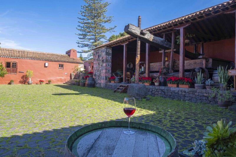 Tenerife: Wine Museum Ticket with Local Wines & Food Tasting - FAQs