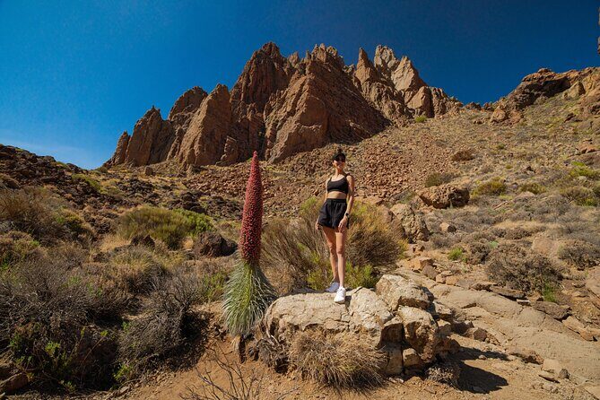 Tenerife Wonder Walk - The Logistics: Transport and Timing